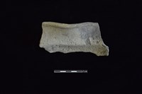 陶罐藏品圖，第2張